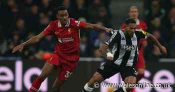 How to watch Liverpool v Newcastle on TV tonight - live stream details