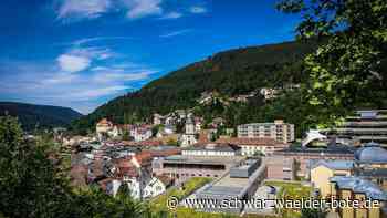 Haushalt Bad Wildbad: Stadträte beschließen dickes Minus