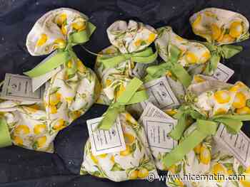 Ces 5 souvenirs de la 91e Fête du citron à rapporter de Menton dans sa valise