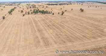Well-balanced farming, grazing property Pineleigh heads to auction | Video