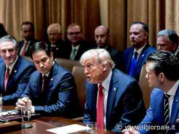 Trump: "Zelensky negli Usa per le terre rare. Kiev si scordi la Nato"