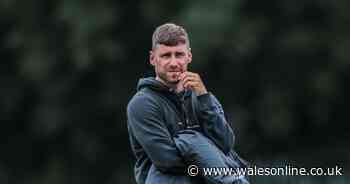 Swansea City sporting director issues fresh update on manager situation and key search criteria