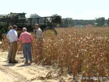 Storms and drought cost NC farmers billions in 2024. Lawmakers want to pay them back