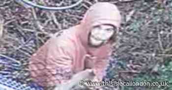 Police appeal to help identify man with 'crucial information' about Harlow burglary