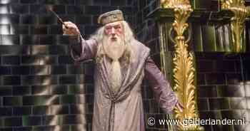 Nieuwe Harry Potter-serie heeft zijn Dumbledore gevonden: ‘Kijk er erg naar uit’