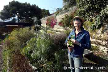 À Cap-d'Ail, le jardin des Sauvages organise gratuitement un nouveau marché paysan pour amorcer le printemps