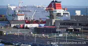 Man released without charge after  woman's death tragedy on Stena ferry
