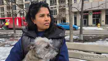 'Unprecedented' rise in coyote attacks prompts Toronto's deputy mayor to pitch urgent action plan