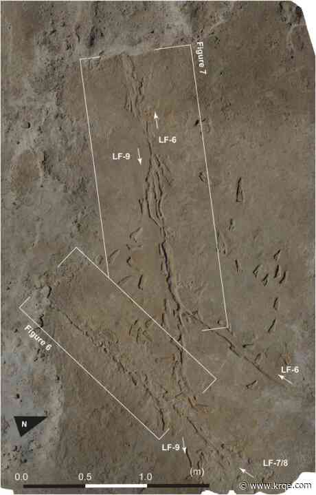Fossil footprints in New Mexico reveal what may be oldest known handcarts, researchers say