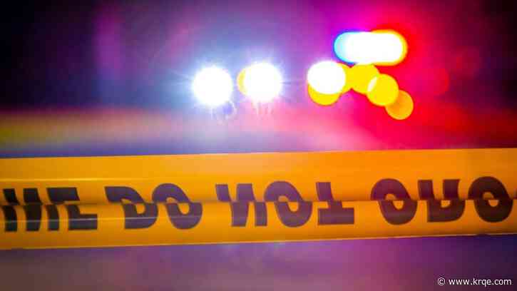 Police killings set record in 2024, but with smallest increase in years: Report