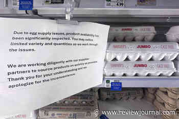 Egg prices could jump another 41% this year, USDA says, as Trump unveils bird flu plan