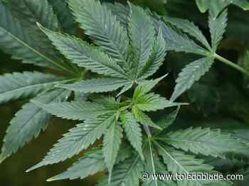 Ohio Senate changes voter-approved marijuana law