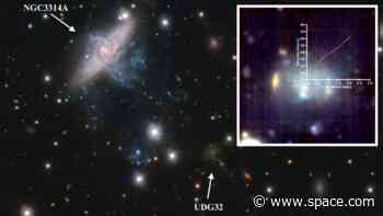 These dwarf galaxies in the Hydra cluster are baffling scientists: 'We found something we didn't expect'