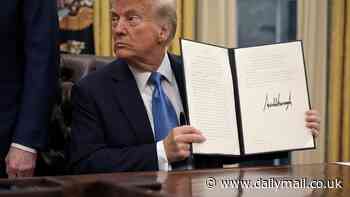 Trump to tear up 'holy grail' regulation that will free up trillions in taxpayer cash... but could spell global disaster