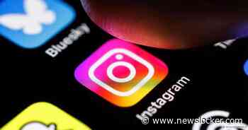 Plots staat Instagram vol met gewelddadige video’s: ’Alle walgelijke dingen die je kan bedenken’