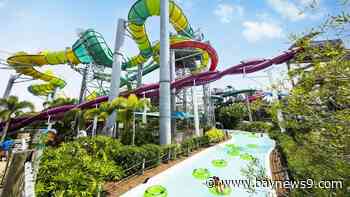 Adventure Island sets opening date for 2025 season in March