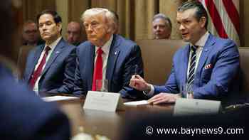 Trump touts efforts to downsize federal government, cut spending at first Cabinet meeting with Elon Musk