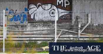 Pam the Bird flies the coop in bail win