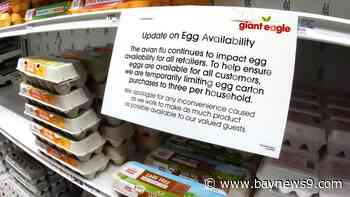 USDA secretary promises lower egg prices, fight bird flu with 5-point plan