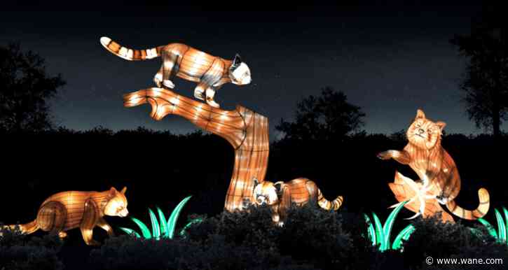 'Glo Wild': Fort Wayne Zoo offering new nighttime lantern event