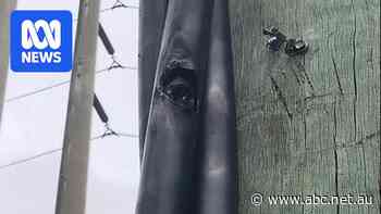 Axes used to hack copper wire from Queensland power poles