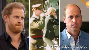 Ex-Geliebter von Prinzessin Diana richtet bewegende Nachricht an Prinz William und Prinz Harry