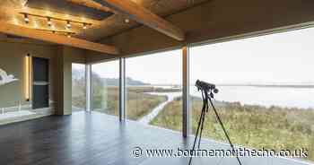 New lookout station launches on Brownsea Island