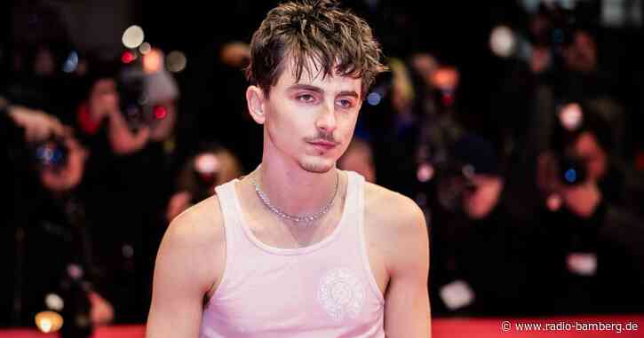 Timothée Chalamet auf Oscar-Kurs mit Film über Bob Dylan
