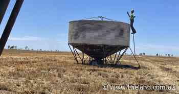 The great telco divide: near enough is not good enough | Country Matters