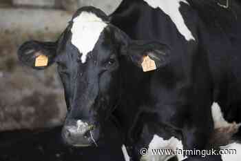 Concern over growing unreliability of routine wormer treatments