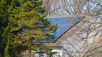 Can Shade From Trees Affect Your Solar Panel Installation?