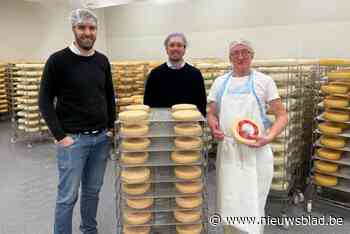 Jonge kaasmakers kapen met ‘prijsbeest’ goud weg op eerste Belgische kaaswedstrijd: “Bevestiging van het vakmanschap van ons team”
