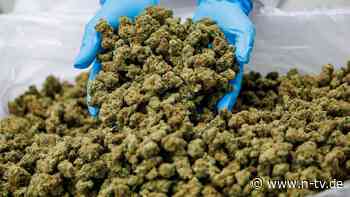 Wegen Online-Anbietern: Cannabis-Importe gehen 2024 durch die Decke