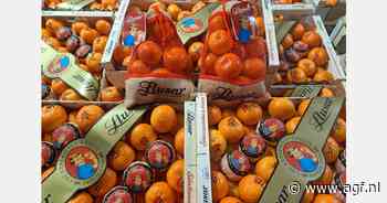 "Uitgebalanceerde mandarijnenmarkt met vlotte afzet en passende prijzen"