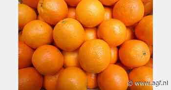 Is fruit of vruchtensap voor ontbijt ongezond?