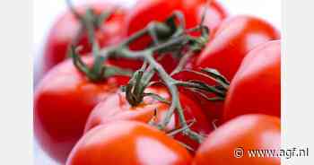 Greenport West-Holland start Fieldlab Voorkomen Voedselverspilling