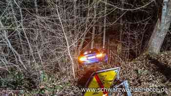 Unfall in Nagold: BMW schleudert mehrere Meter den Abhang hinunter
