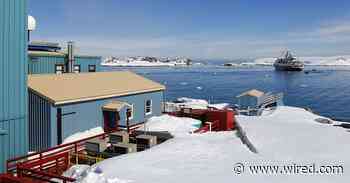 DOGE’s Chaos Reaches Antarctica