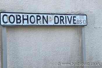 Young woman killed by dog in Bristol