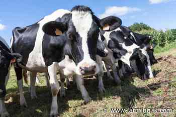 On-farm trials for bovine TB vaccine move on to next phase
