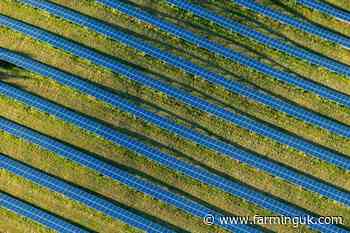 Tenant farmers slam 'crushing' solar development appeal