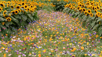 La Flor, natura al femminile: l'8 marzo all’Orto Botanico