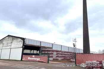 Werknemers Wienerberger vrezen sluiting van steenfabriek in Westmalle