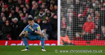 Nick Pope defended as Newcastle United goalkeeper questions asked following Martin Dubravka call