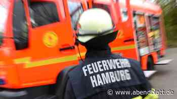 Wohnungsbrand in Hochhaus – Feuerwehr rettet Bewohnerin