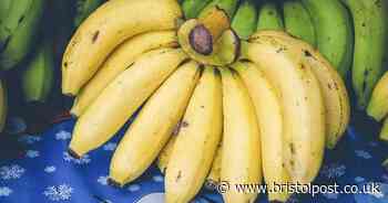Bananas keep fresh for longer if stored with 1 popular drink - won’t rot or turn brown