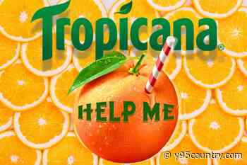 Orange Blues! Tropicana Orange Juice Company Headed for Bankruptcy?