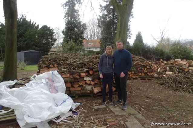 Stadsdiensten kappen zonder toestemming veertig bomen in tuin van Thomas en Hilde: “Ze knipten omheining door en belden niet eens aan”