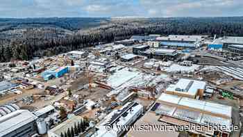 Gewerbegebiet Interkom: So viel Wald muss in Bad Wildbad stillgelegt werden