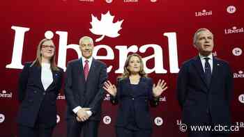 Voting for the new Liberal leader has begun. Here's how the process works
